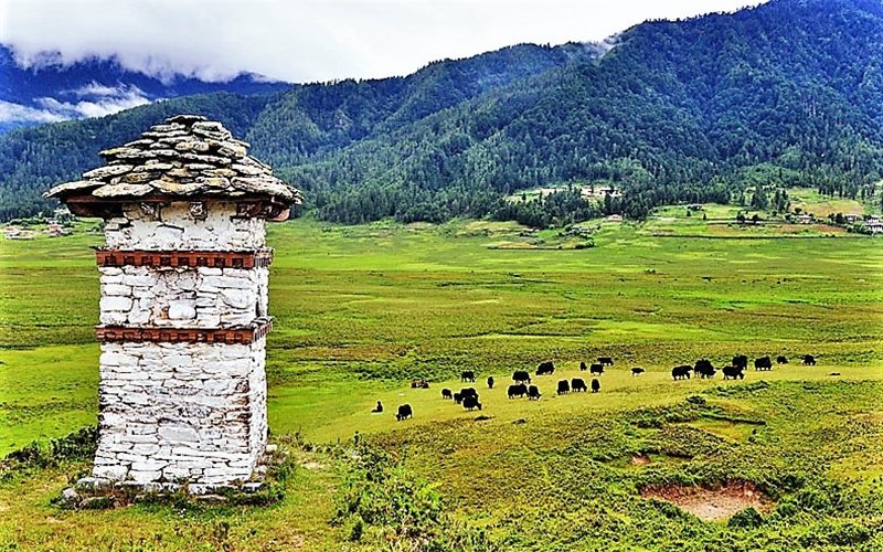 ทัศนียภาพหุบเขาผบจิกะ สถูปหินโบราณและฝูงจามรี ทัวร์ภูฏาน 6 วัน Global Tour Planner