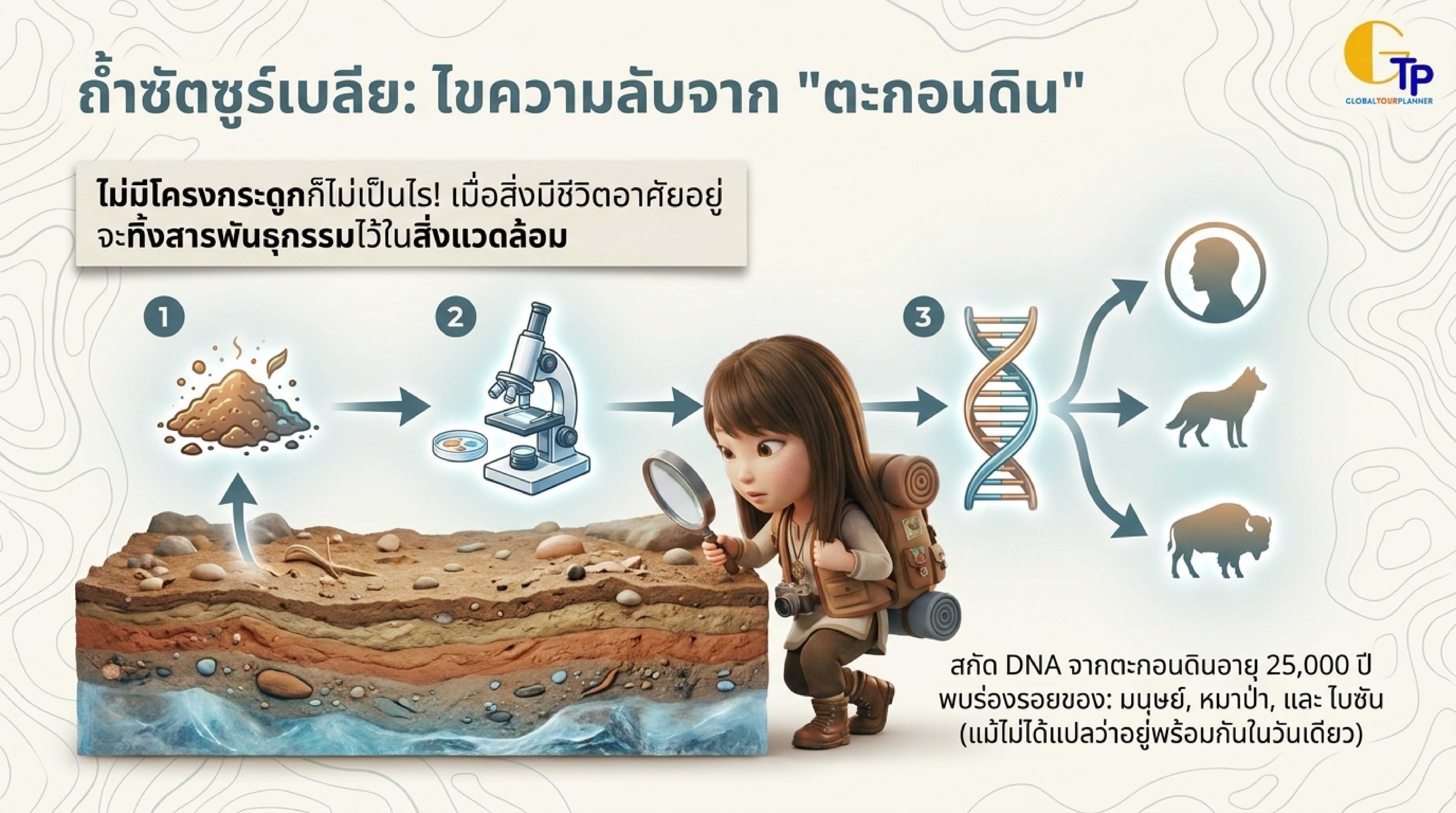 ถ้ำซัตซูร์เบลีย สกัด DNA จากตะกอนดิน Environmental DNA eDNA