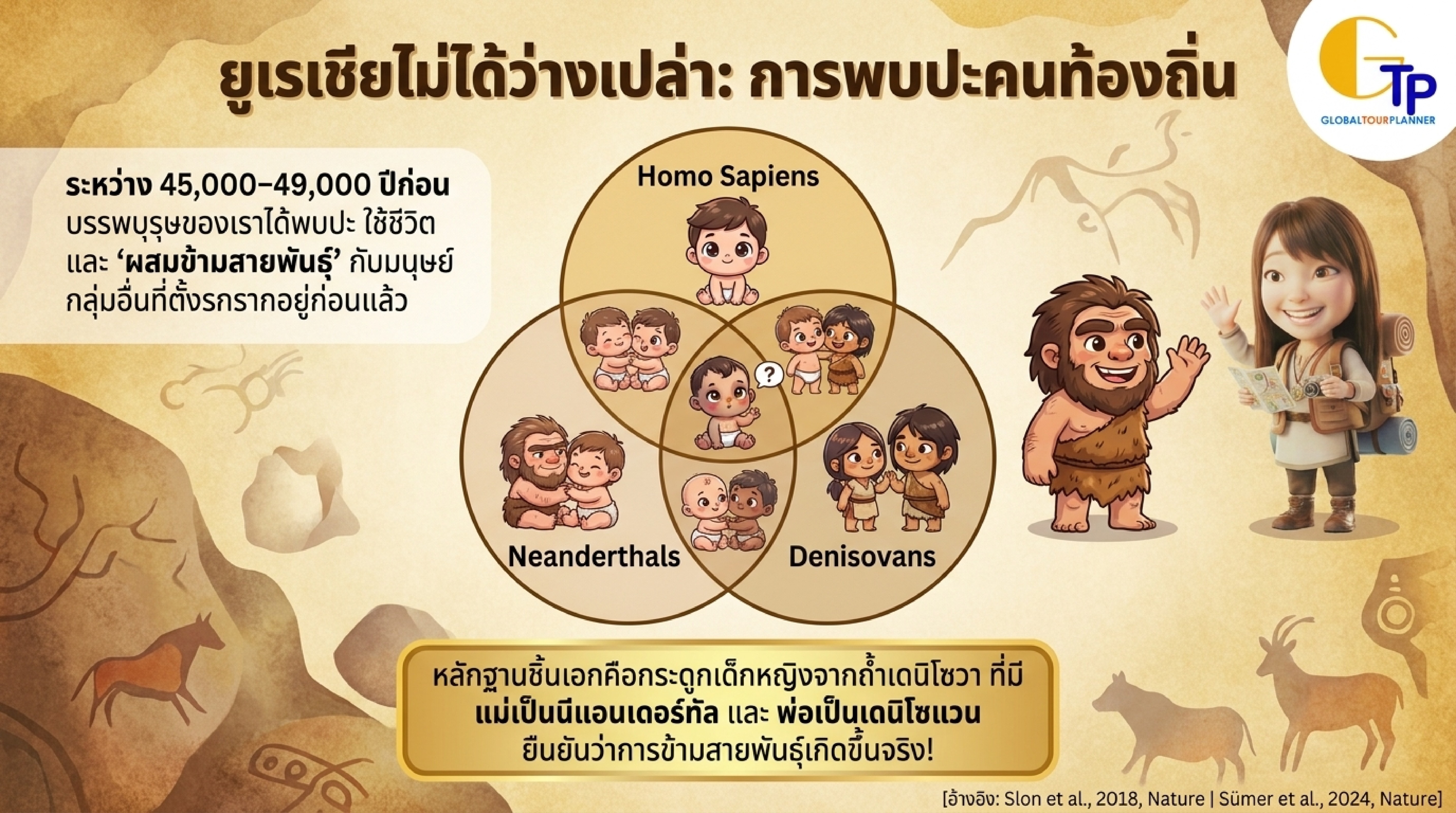 แผนภาพการผสมข้ามสายพันธุ์ Homo Sapiens Neanderthals Denisovans