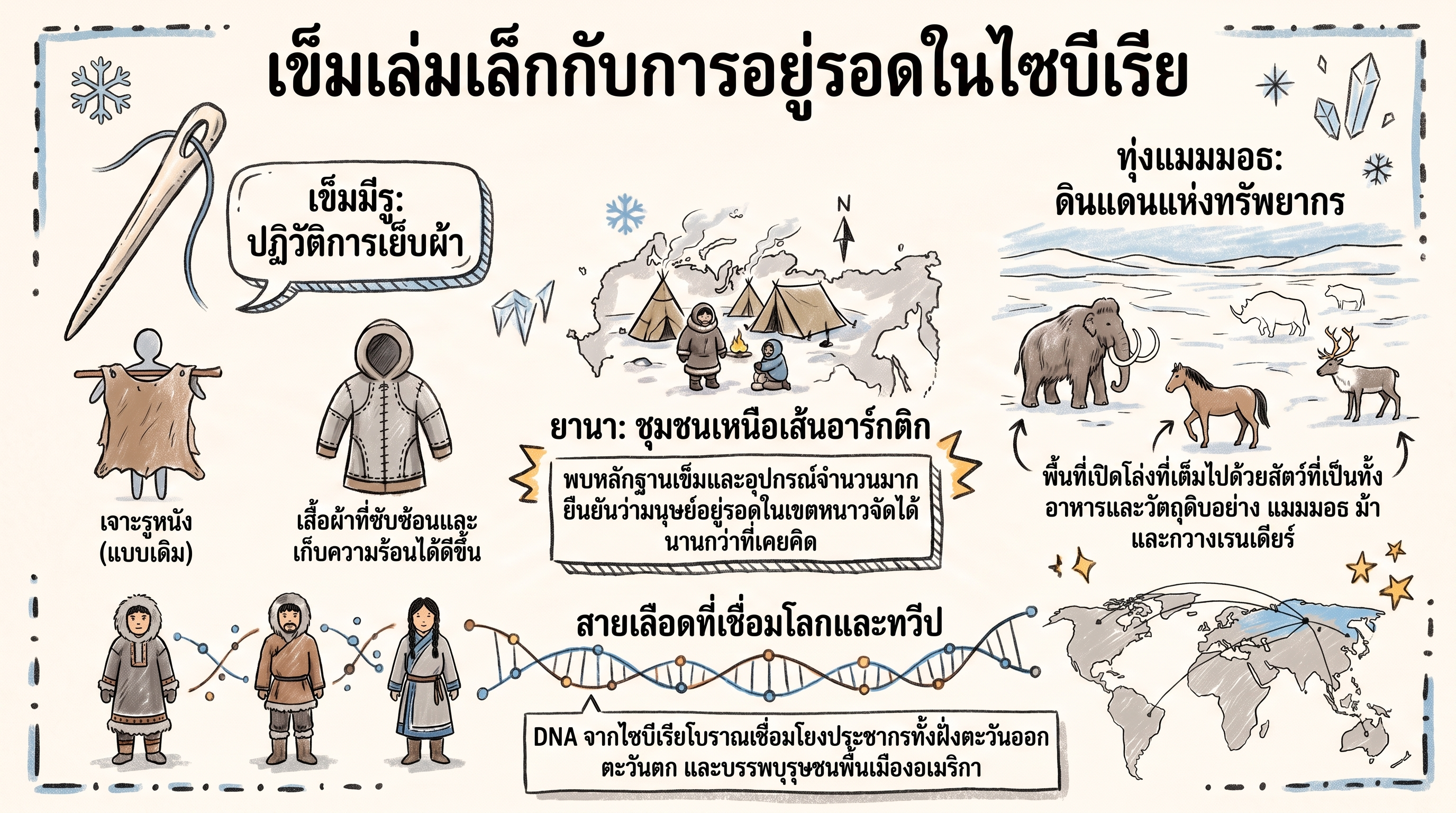 อินโฟกราฟิกสรุปเข็มและการอยู่รอดในไซบีเรีย ยุคน้ำแข็ง Global Tour Planner